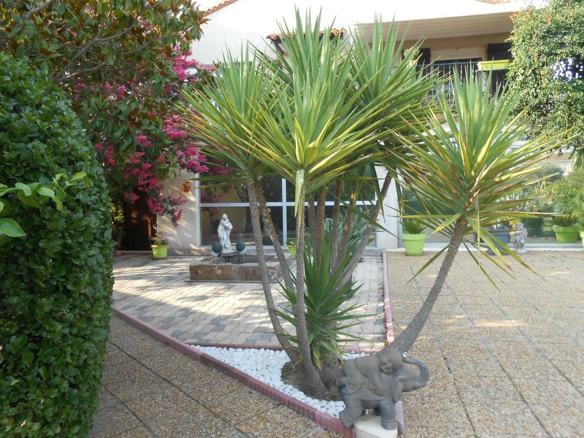 Maison Monica Exeptionnel-Jardin Paysage Zen Coursan Exteriör bild
